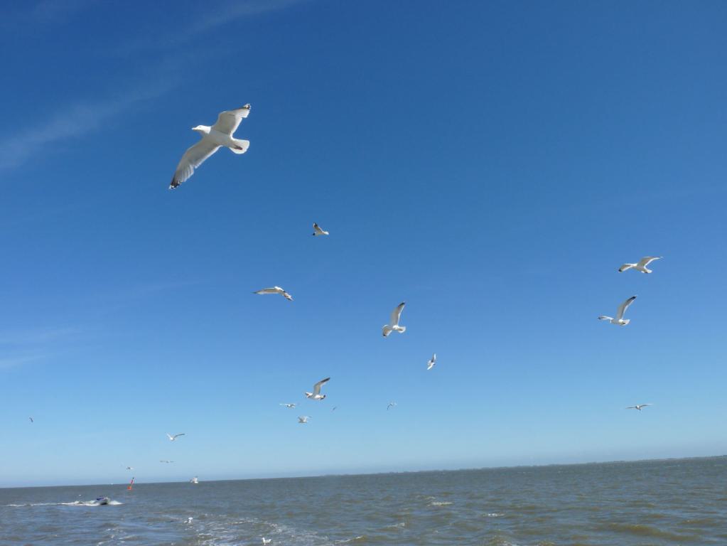 langeoog, anreise, fähre, bahn